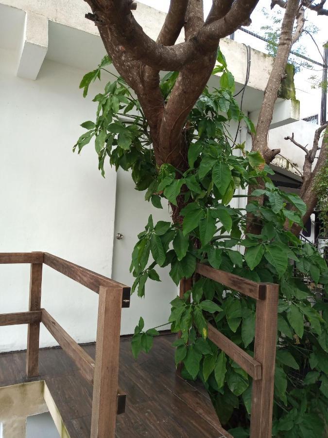 Estudio Zona Centro Cerca De La Terminal Ado Κανκούν Εξωτερικό φωτογραφία