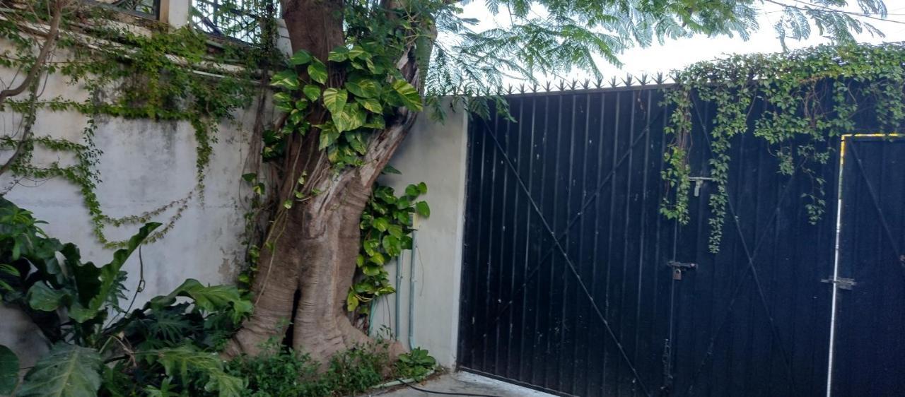 Estudio Zona Centro Cerca De La Terminal Ado Κανκούν Εξωτερικό φωτογραφία