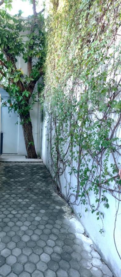 Estudio Zona Centro Cerca De La Terminal Ado Κανκούν Εξωτερικό φωτογραφία
